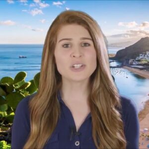 Advertising Bait Residual Income Affiliate Program