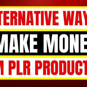 How to Make Money With PLR Products - 5 Ways To Make Money From PLR Content