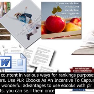 How do plr ebooks wor.k   plr stands for private label rights and its the name of a lic.ens