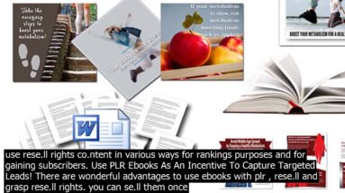 How do plr ebooks wor.k   plr stands for private label rights and its the name of a lic.ens
