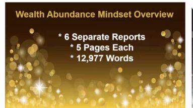 Wealth Abundance Mindset PLR REvieW