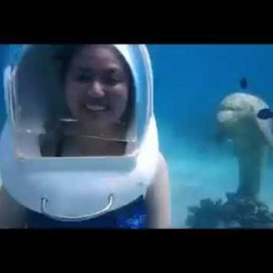 elnido travel incentives