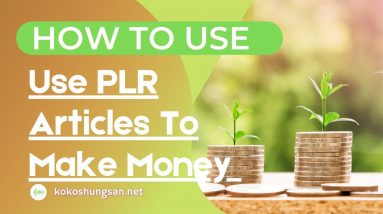 How To Use PLR Articles To Make Money Online and Work From Home