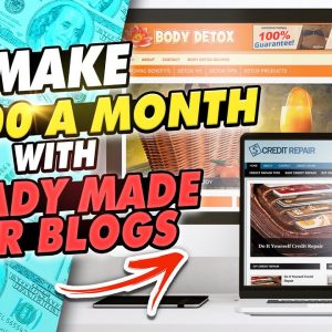 Make $3000 A Month With Ready Made VIRAL PLR Blogs | MAKE MONEY ONLINE