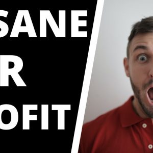 Overnight PLR Profits | IDPLR Review | Easy Side Hustle