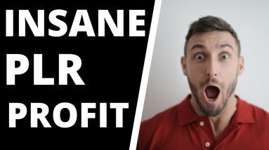 Overnight PLR Profits | IDPLR Review | Easy Side Hustle