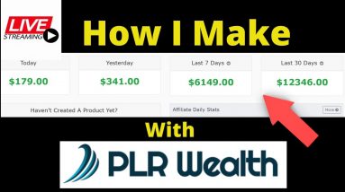 How I MAKE Over $12090 with PLR Wealth review master resell rights and  plr videos hidden plr bonus