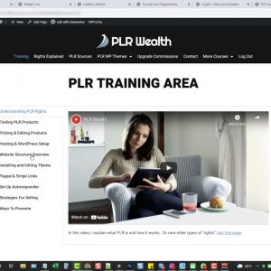 PLR Wealth Review OTO Upsell Link - PLR Wealth Demo Video