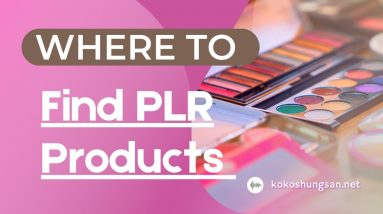 Where To Find PLR Products And Make Money Online