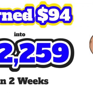 How I Made $2259 in Two Weeks with $94 dollars  -  yive 3.0 pcs tubegrowth Video SEO stacker views