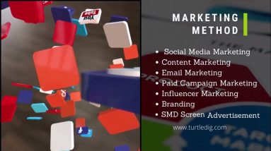 What We Offer in Digital Marketing   Boost Your Business Through Our Services