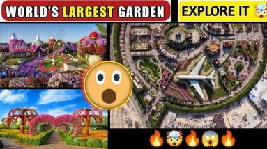 WORLD'S LARGEST GARDEN || COLGATE MARKETING BOOST FACTS|| DEC 2021