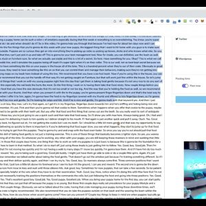 Content Snap Review | This Tech Creates Content For Your Websites In Any Niche